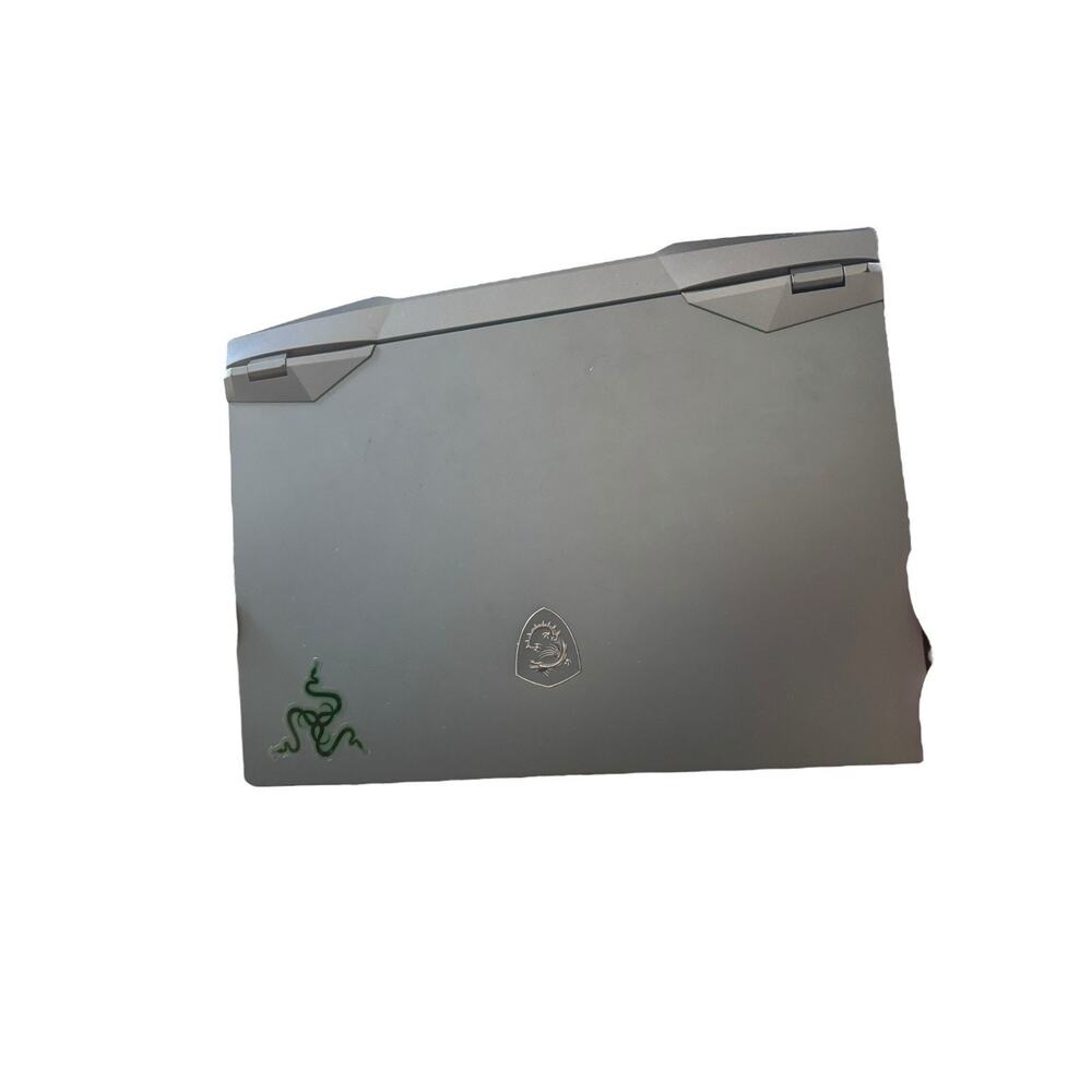 Msi Ge66 raider RTX 3070 i7 10750h 2.6ghz 240hertz 1Tb laptop computer